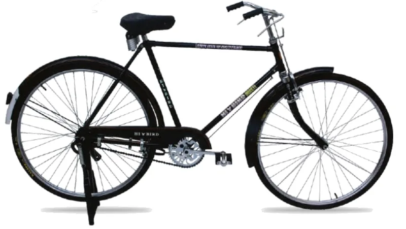 Hi-Bird Shakti gents bicycle